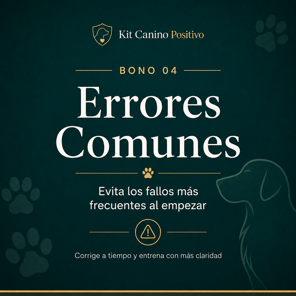 Guía de Errores Comunes